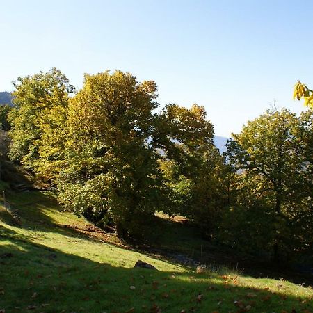 Pensjonat Casa De La Ermita Bubión Zewnętrze zdjęcie
