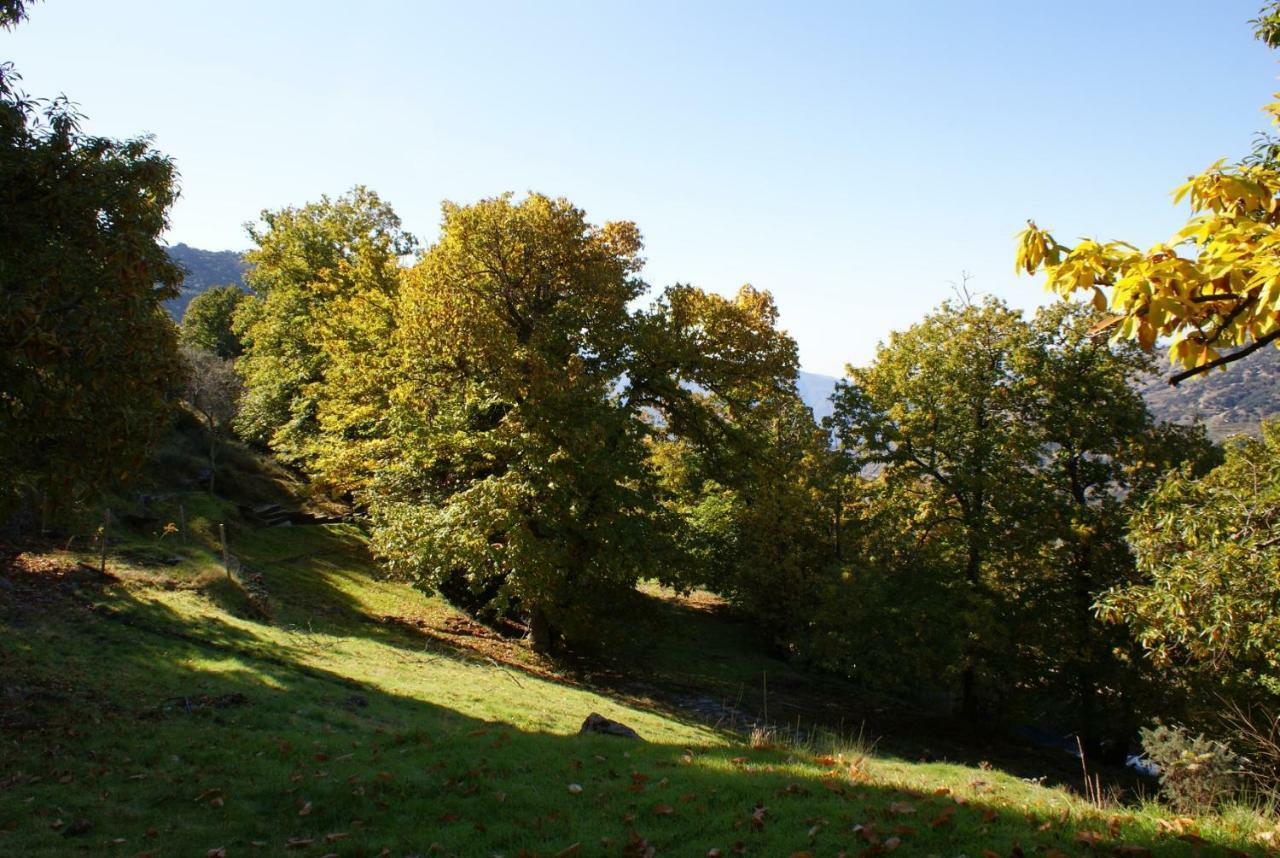 Pensjonat Casa De La Ermita Bubión Zewnętrze zdjęcie